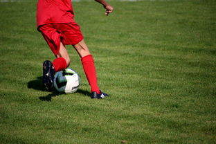 mk sport-CBA球队完善伤病防护体系保障运动员健康和职业生涯，cba球员伤情报告