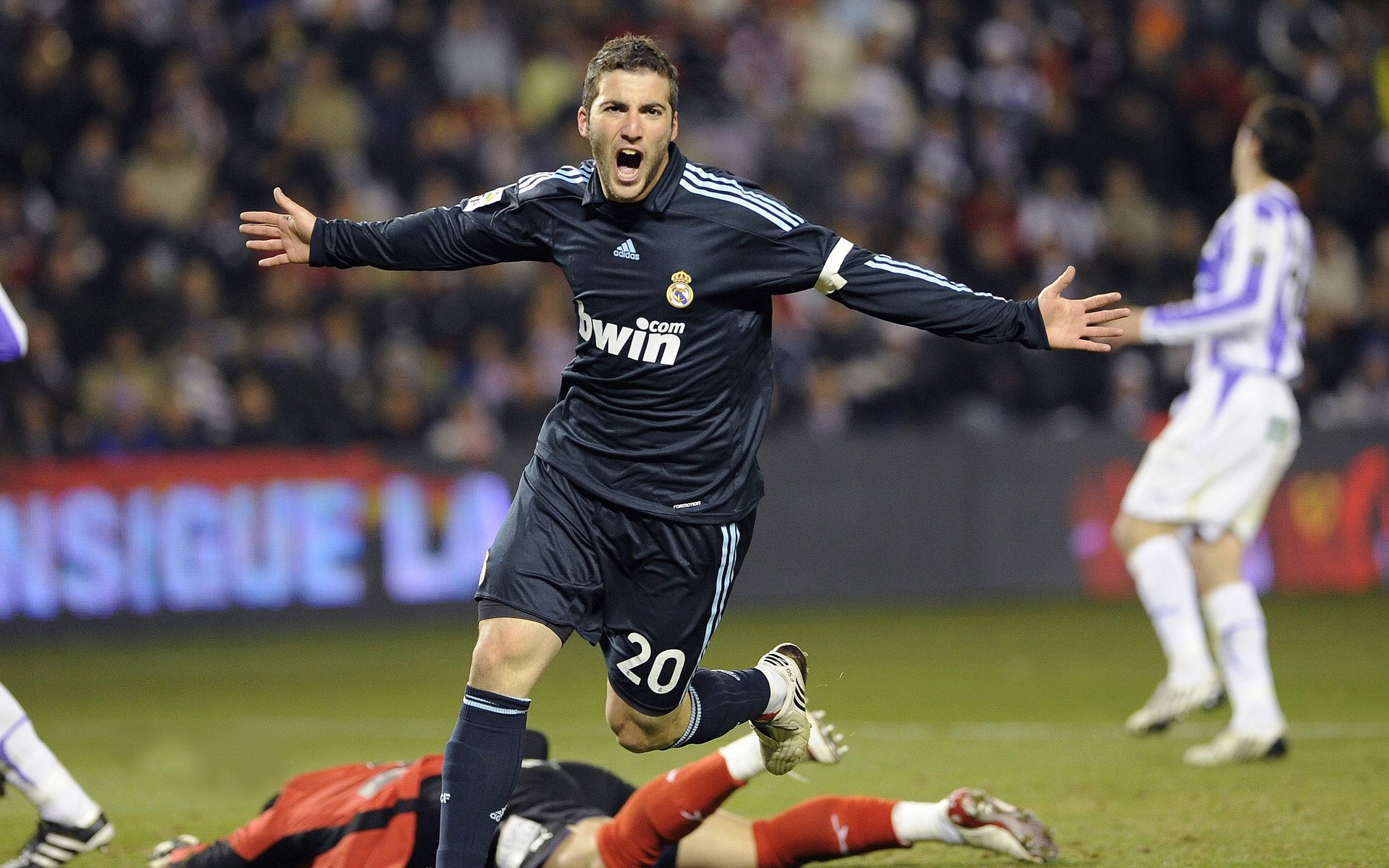 橄榄球成为新兴社交运动,橄榄球发展现状